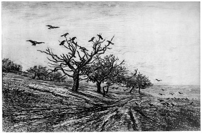 Arbre a Corbeaux, 1840-1875, 1924 da Charles Francois Daubigny