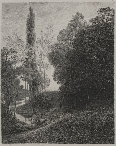 Sponde del fiume Cousin da Charles Francois Daubigny