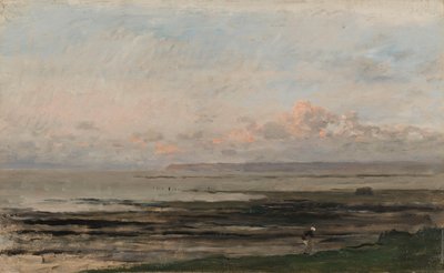 Spiaggia con bassa marea da Charles Francois Daubigny