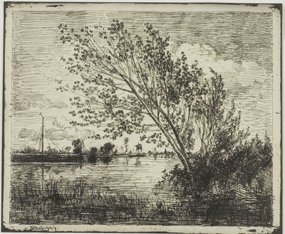 Gruppo di alberi di ontano da Charles Francois Daubigny