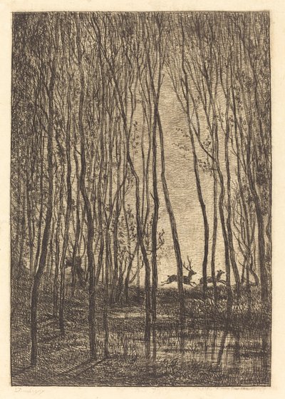 Cervi nel Bosco (Les Cerfs sous bois) da Charles Francois Daubigny