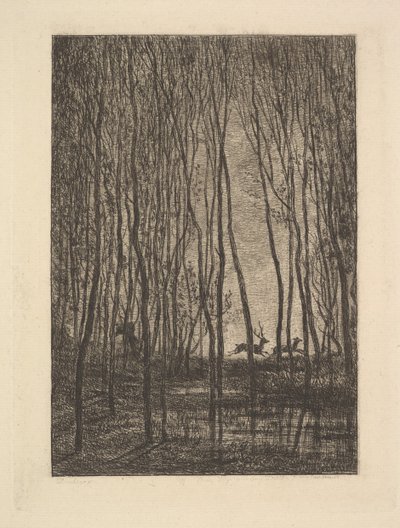 Cervo nei boschi, 1850 da Charles Francois Daubigny