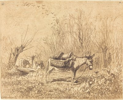 Asino in un campo da Charles Francois Daubigny