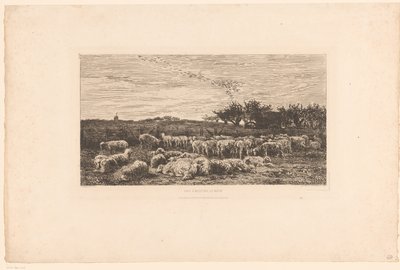 Paesaggio con gregge di pecore da Charles Francois Daubigny