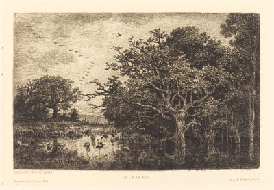 Palude (Le Marais) da Charles Francois Daubigny