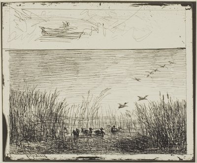 Palude con anatre da Charles Francois Daubigny