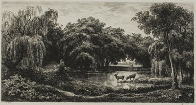 Palude con cervi da Charles Francois Daubigny