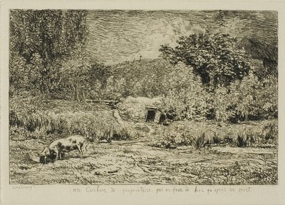 Maiale in un frutteto da Charles Francois Daubigny