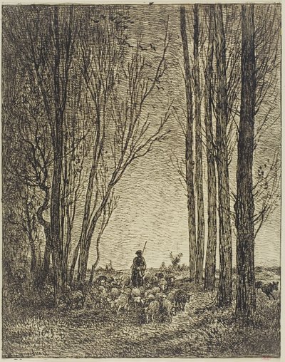 Ritorno del gregge da Charles Francois Daubigny
