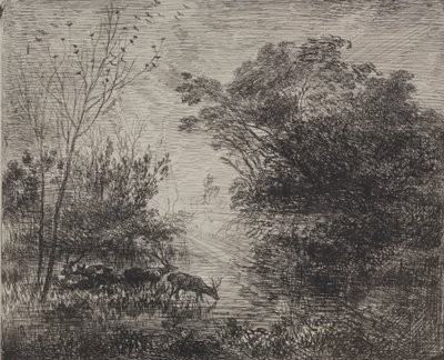 Cervi da Charles Francois Daubigny
