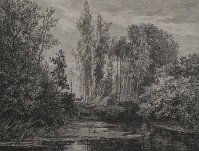 Cervi al bordo dell