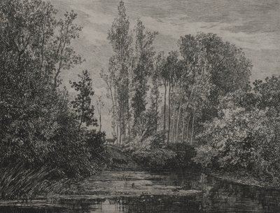 Cervi al bordo dell