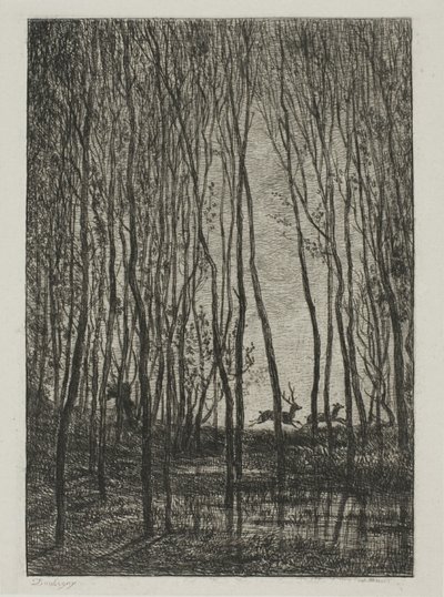 Cervi nel bosco da Charles Francois Daubigny