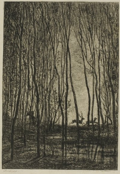 Cervi nel bosco da Charles Francois Daubigny