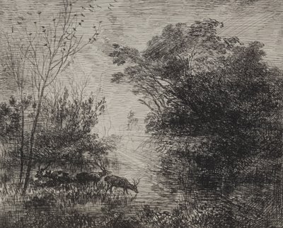 Cervi da Charles Francois Daubigny