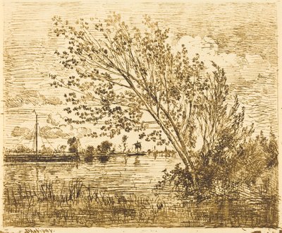 Boschetto di ontani da Charles Francois Daubigny