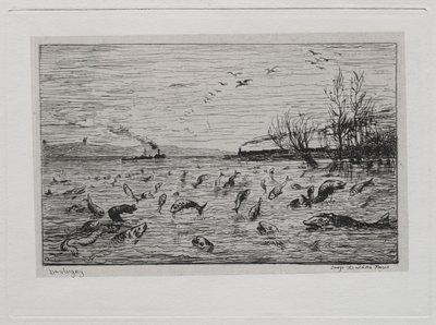 Il Viaggio in Barca: Gioia dei Pesci alla Partenza del Mozzo (I Pesci) da Charles Francois Daubigny