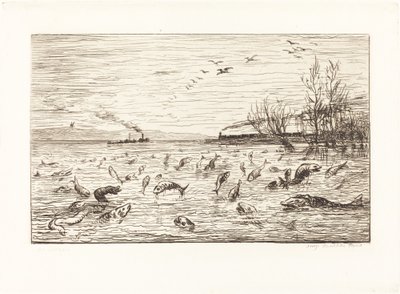 I pesci si rallegrano quando il mozzo se ne va da Charles Francois Daubigny