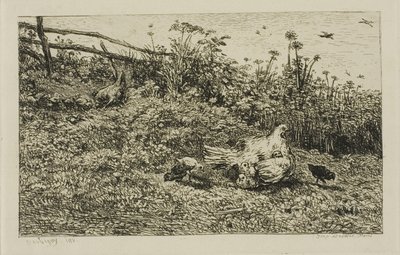 La gallina e i suoi pulcini da Charles Francois Daubigny
