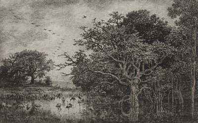La palude con le cicogne da Charles Francois Daubigny