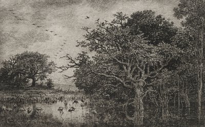 La palude con cicogne, c. 1851 da Charles Francois Daubigny