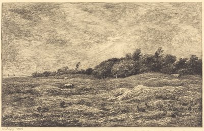 Il prato a Grave, vicino a Villerville da Charles Francois Daubigny