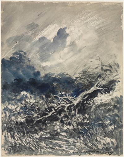 La quercia e la canna, c. 1873 da Charles Francois Daubigny