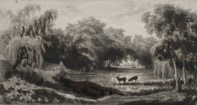 Lo stagno con cervi da Charles Francois Daubigny