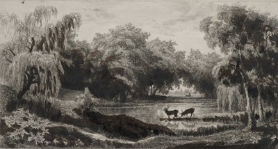 Lo stagno con cervi, 1845 da Charles Francois Daubigny