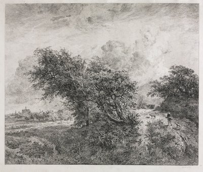 Il boschetto, 1855 da Charles Francois Daubigny