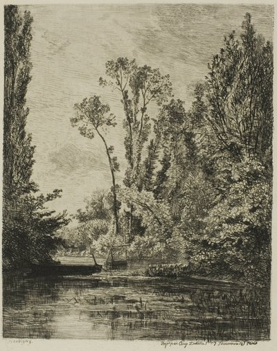 Le Isole Vergini a Bezons (Il buco di pesca) da Charles Francois Daubigny