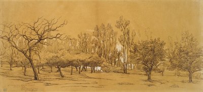 Veduta di un frutteto a Saint-Denis da Charles Francois Daubigny