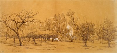 Veduta di un frutteto a Saint-Denis da Charles Francois Daubigny