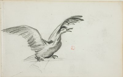 Duetto selvaggio (recto); due figure femminili nude in piedi in nicchie (verso) da Charles Francois Daubigny