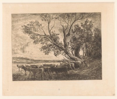 Paesaggio con bovini guadanti da Charles François Daubigny (attributed to)