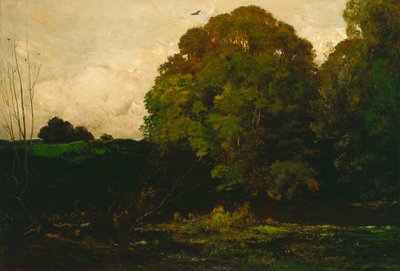 Uno stagno nel Morvan da Charles Francois Daubigny