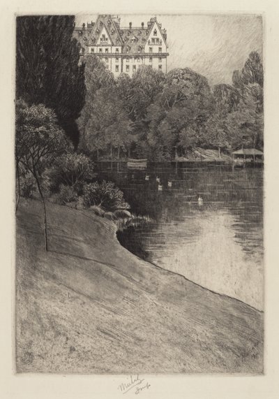 Angolo di Central Park da Charles Frederick William Mielatz