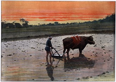 Preparazione di una piantagione di riso in Giappone da Charles Gillot