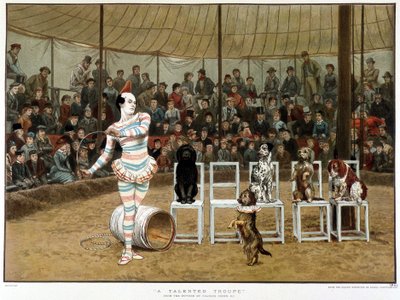 I cani sapienti: scena circense con clown e cani - dopo Charles Green, cromolitografia inglese 1885 da Charles Green