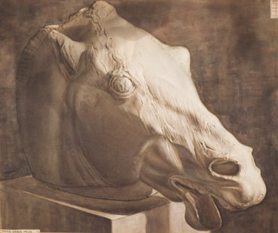 Studio - Testa di cavallo dal Partenone da Charles Gustav Louis Phillips