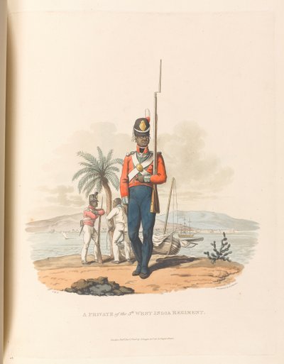 Un soldato del 5° West India Regiment da Charles Hamilton (after) Smith