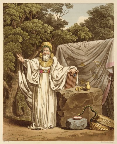 Un arcidruido nel suo abito giudiziario, inciso da Robert Havell, 1815 da Charles Hamilton Smith