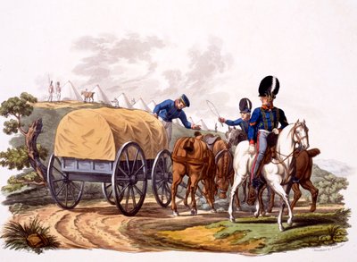 Uniforme dei conducenti di artiglieria reale (con carro e campo), da 