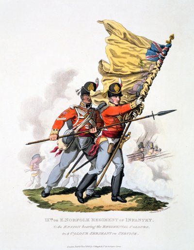 Uniforme e colori del 9° o Reggimento di Fanteria dell