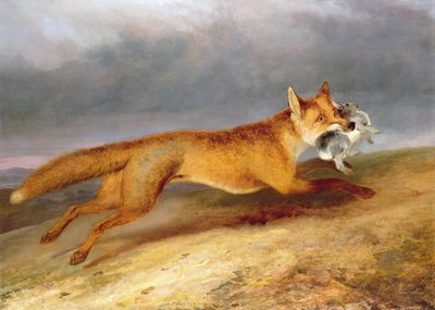 Volpe che scappa con un coniglio da Charles Hancock