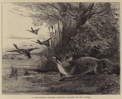 Un bracconiere a quattro zampe, Reynard privato della sua cena da Charles Harvey Weigall
