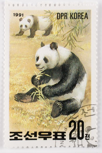 Francobollo, Corea del Nord, Ailuropoda melanoleuca, Grande panda, Panda gigante da Augustus Kollner