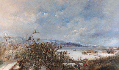 Uccelli di una Piuma da Charles Henry Clifford Baldwyn
