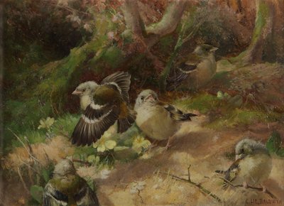 Nel bosco felice da Charles Henry Clifford Baldwyn