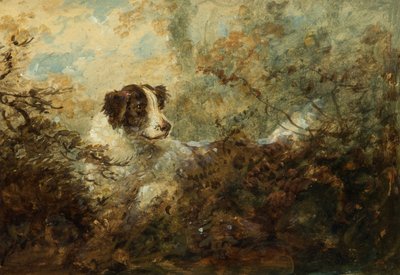 Cane da Charles Henry Schwanfelder